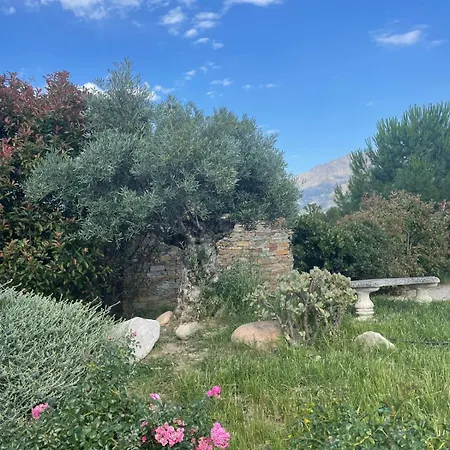 Luxueuse Privée Avec Piscine Lagon *